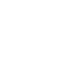 logo ikono seguros vertical